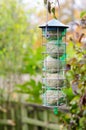 Five Bird Food Fat Balls in a Bird Feeder Royalty Free Stock Photo