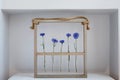 Five blue nice cornflowers in a little vases in a wooden frame over grey