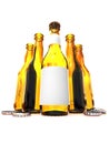 Five botles of beer Royalty Free Stock Photo