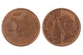 Five Brazilian centavos coin