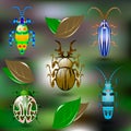 Five bright colorful beetles