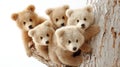 Five Brown Bear Cubs Climbing a Tree Against a White Background Royalty Free Stock Photo
