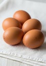 Five brown eggs are arranged on a textured white cloth napkin. The eggs are smooth, Royalty Free Stock Photo