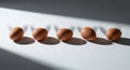 Five Brown Eggs Lined Up in a Row Casting Long Shadows Under Dramatic Sunlight Royalty Free Stock Photo