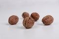 Five brown nuts Royalty Free Stock Photo