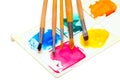 Five brushes for painting watercolors on a palette with paints on a white background Royalty Free Stock Photo