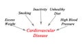 Causes of cardiovascular Disease