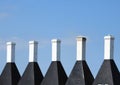Five chimneys on a smokehouse with blue sky