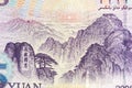 Five Chinese yuan renminbi RMB banknote on macro.