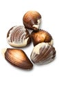 Five chocolate mollusk shaped