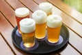 Five cold beers with frothy heads in glasses on a tray Royalty Free Stock Photo