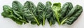 Five Collard Greens On A White Background