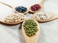 Five collection beans in a wooden spoon on a white background.