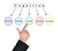Five Components of  Cognition Royalty Free Stock Photo