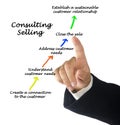 Components of Consulting Selling