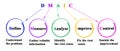 Components of DMAIC Methodology