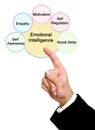 Components of Emotional Intelligence Royalty Free Stock Photo