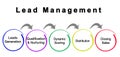 Components of Lead Management