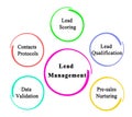 Components of Lead Management