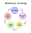 Components of Medical Coding