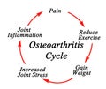 Components of Osteoarthritis Cycle