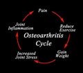 Components of Osteoarthritis Cycle