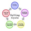 components of Selling Cycle