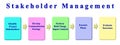 Components of Stakeholder Management