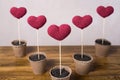 Five crocheted hearts in peat glasses