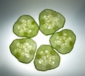 Five cucumber slices composition Royalty Free Stock Photo