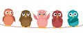 Five cute colored owlet sitting on a rope.