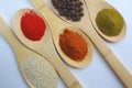 Five different spices on a white isolated background Royalty Free Stock Photo