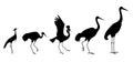 Five different types of cranes. Vector silhouette image collection.