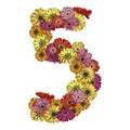 Five digit made of multicolored daisies flowers. Floral element of colorful alphabet made from flowers. Vector illustration