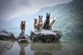 Five dogs are sitting on a rock in beautiful scenery. Friendship between dogs. Obedient dogs of different breeds. Royalty Free Stock Photo