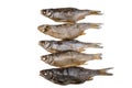 Five dried salted roach fishs on a isolated white background Royalty Free Stock Photo