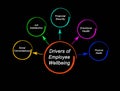 Drivers of Employee Wellbeing