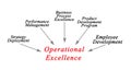 Drivers of Operational Excellence