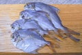 dry salted piranha fish Royalty Free Stock Photo