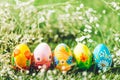 Five Easter eggs on green grass Royalty Free Stock Photo