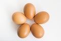 The five eggs on the isolated background
