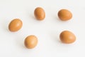 The five eggs on the isolated background