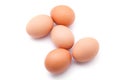 Five eggs Royalty Free Stock Photo