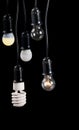 Five electric lamps in receptacle isolated on black