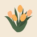 Five elegant yellow tulips. Bouquet of tulips. International Women`s Day. 8 March. Botanical floral elements.