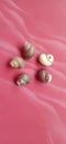 five empty snail shells on red ceramic