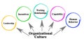 facets of Organizational Culture