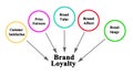 Factors influencing Brand Loyalty Royalty Free Stock Photo