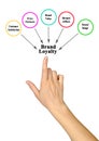 Factors influencing Brand Loyalty