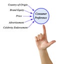 factors Influencing Consumer Preference Royalty Free Stock Photo